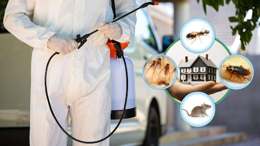 Residential Pest Control